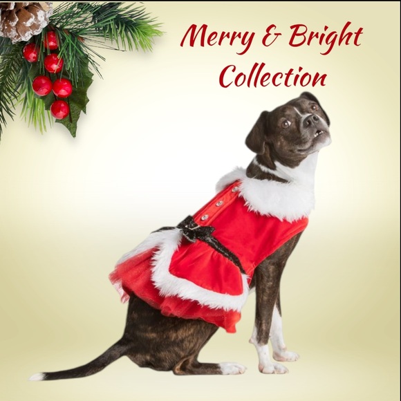 Merry & Bright Costume Dog XS Pet Mrs Claus Christmas Dress Xmas Bling - Picture 2 of 13